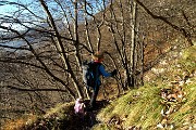 88 Sul sent. 223 rientriamo. nel bosco